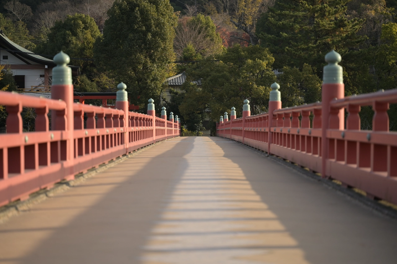 朝霧橋