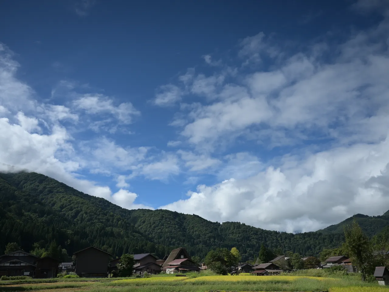 和田家から