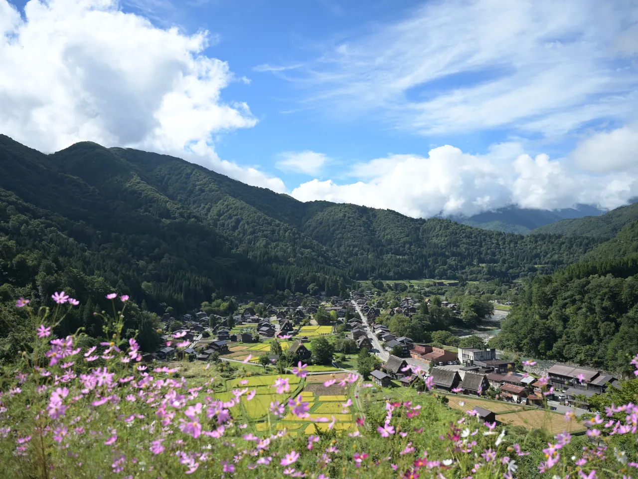 展望台から