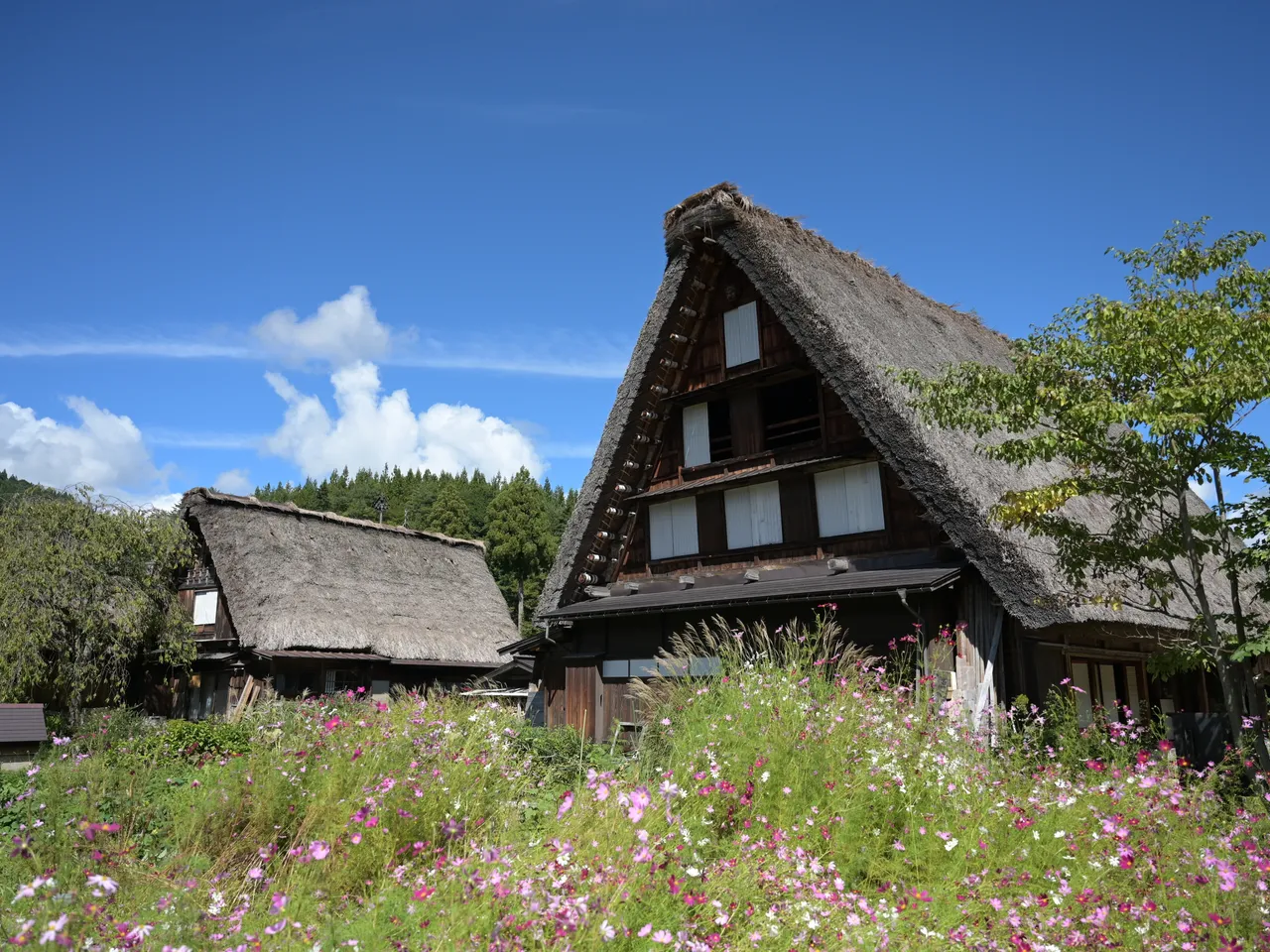 花と